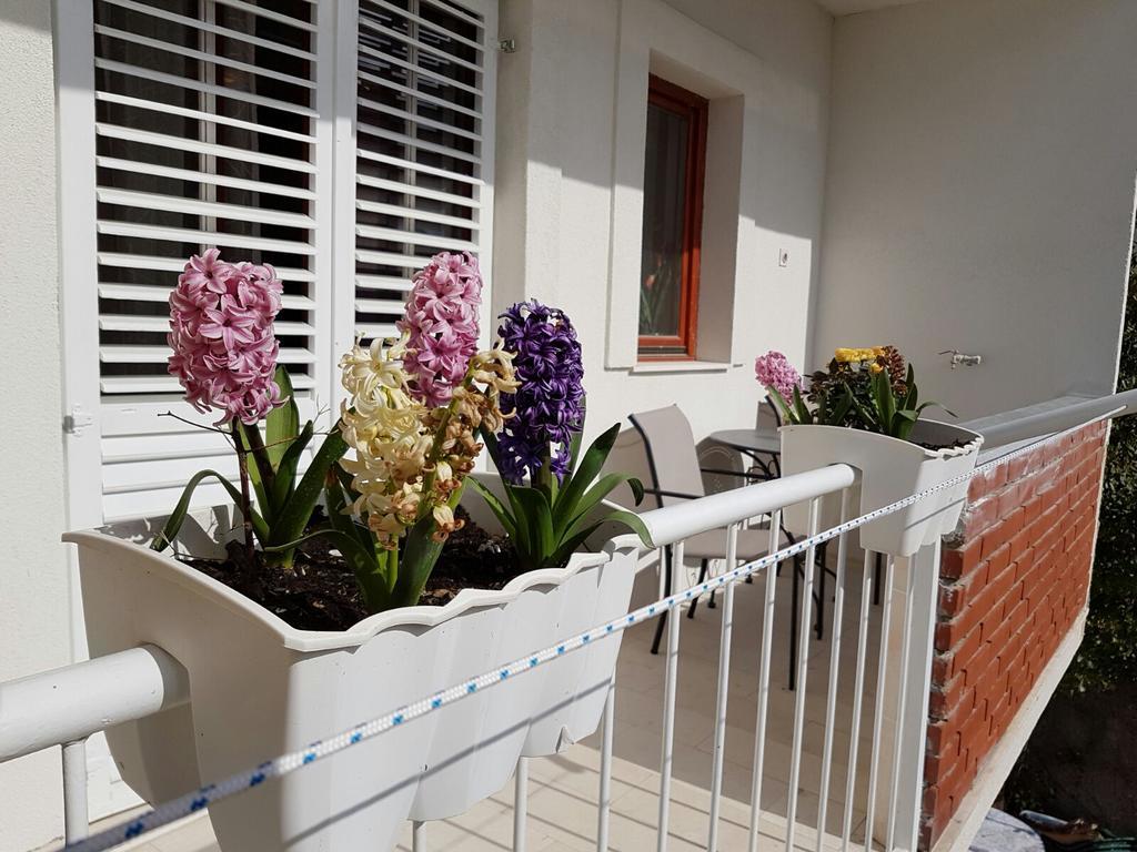 Apartment Vice Mali Split Exterior photo